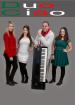 Sie suchen eine Partyband MUSIK DUOCIAO für Ihre Hochzeit Firmenveranstaltung